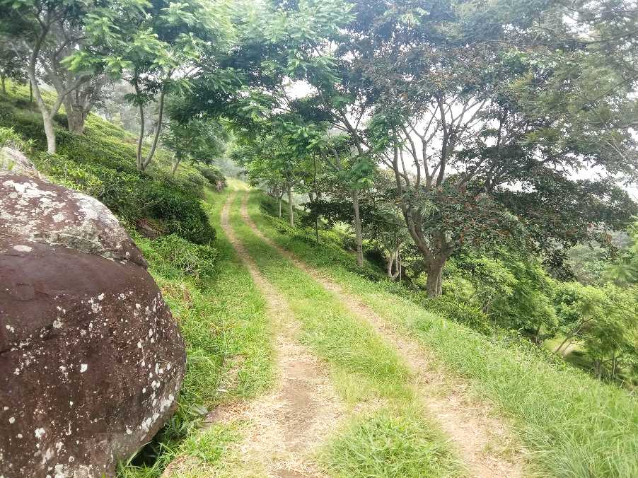 Haputale  ⇌ St. Catherine